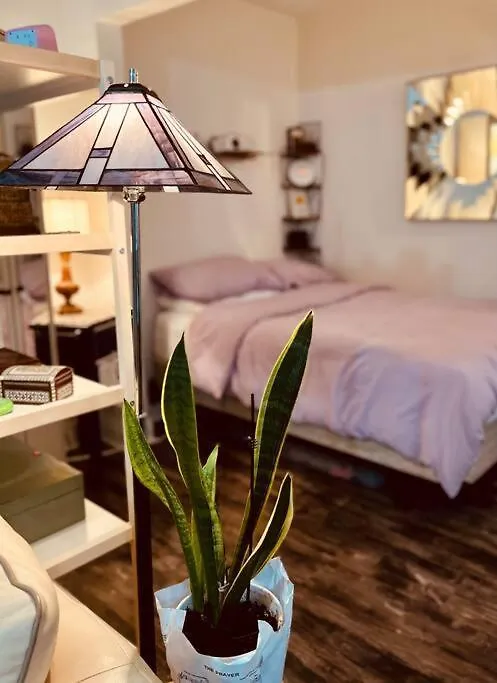 Hipster Studio In Little Italy Apartment Toronto